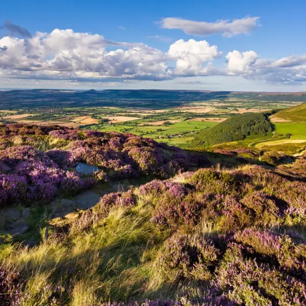 HF_EX_North_York_Moors